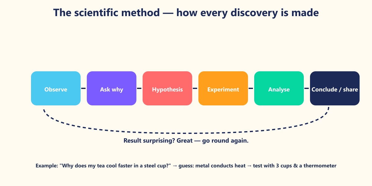 Every experiment in your practical book follows this loop. So does every Nobel Prize.