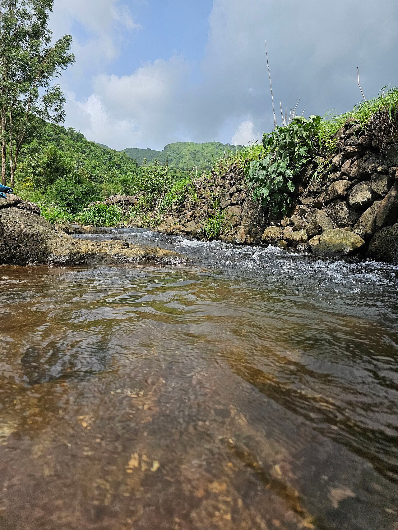 A monsoon stream in the Western Ghats