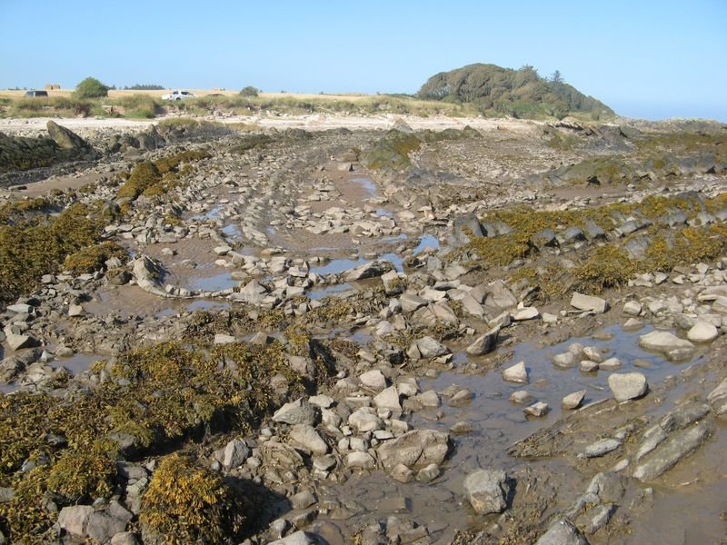 Rock layers folded by the movement of the crust
