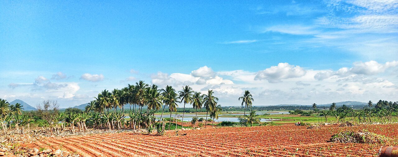 Farmland soil